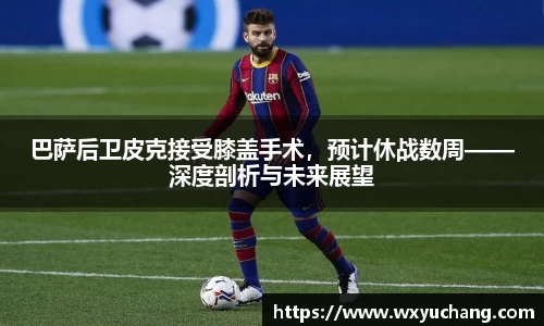 巴萨后卫皮克接受膝盖手术，预计休战数周——深度剖析与未来展望