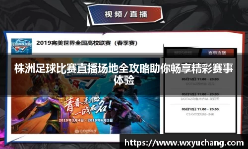 株洲足球比赛直播场地全攻略助你畅享精彩赛事体验