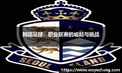韩国足球：职业联赛的崛起与挑战