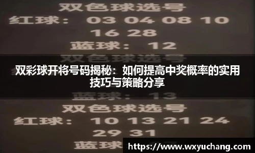 双彩球开将号码揭秘：如何提高中奖概率的实用技巧与策略分享