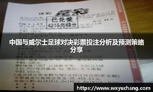 中国与威尔士足球对决彩票投注分析及预测策略分享