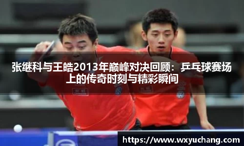 张继科与王皓2013年巅峰对决回顾：乒乓球赛场上的传奇时刻与精彩瞬间